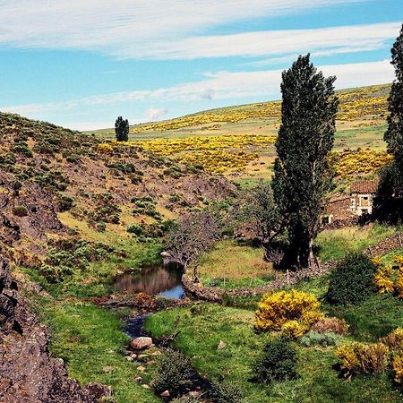 Casa Rural La Vereilla Barajas de Gredos Extérieur photo